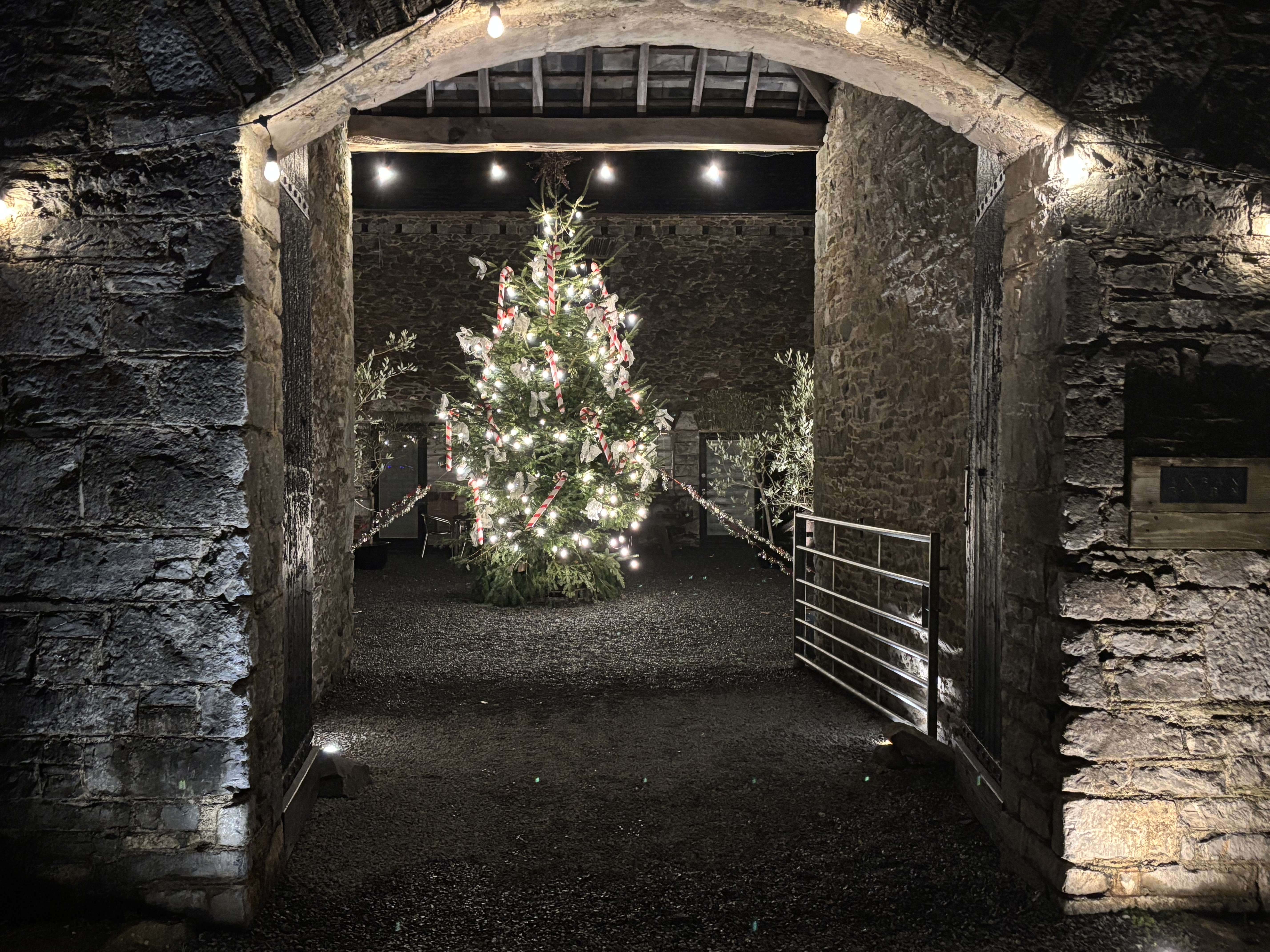 Charity Drinks Reception with the Exe Valley String Quartet.