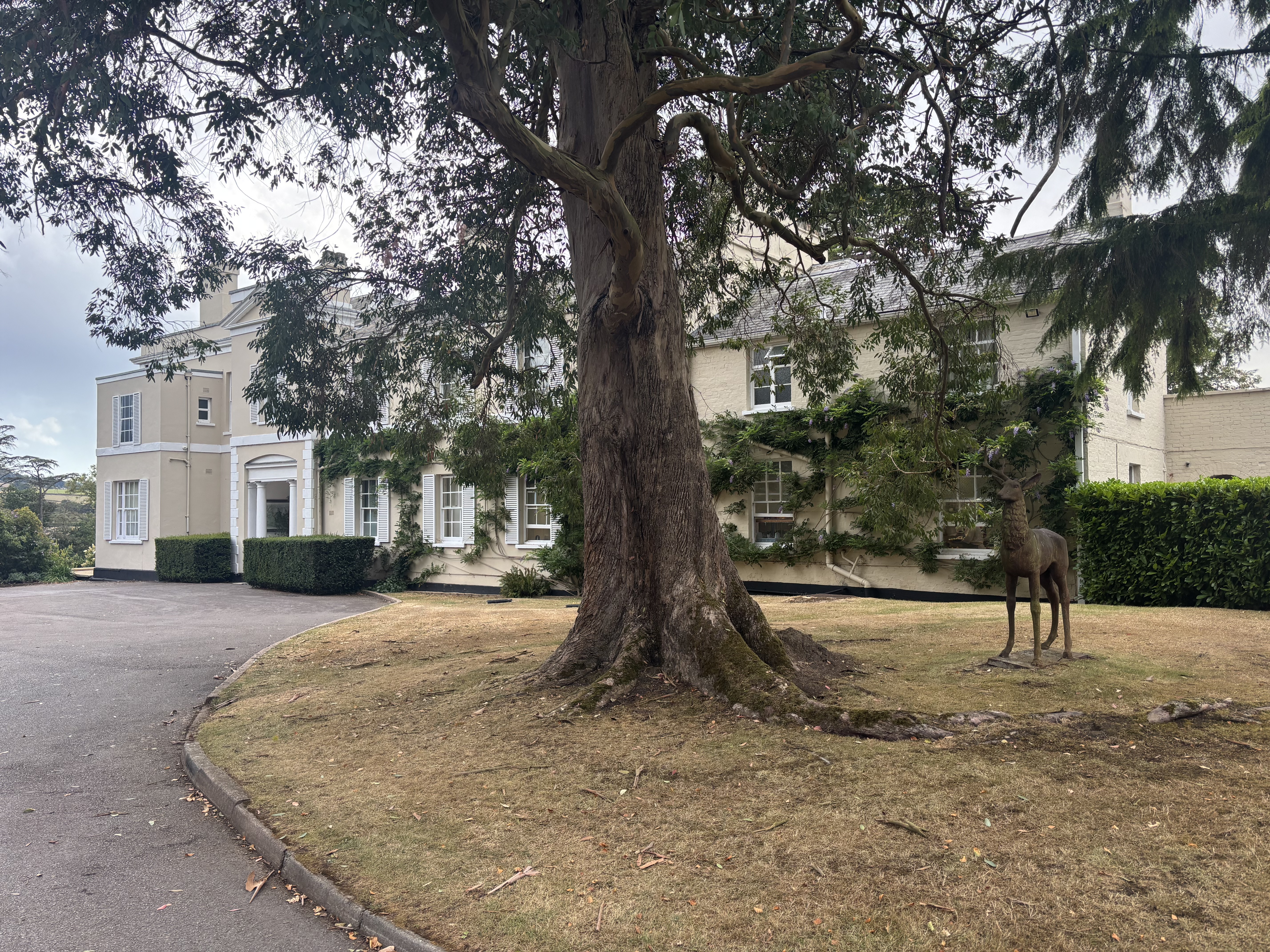 Back to Deer Park Hotel and Country Park with EVSQ